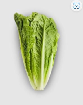 Organic Romaine Lettuce 500G